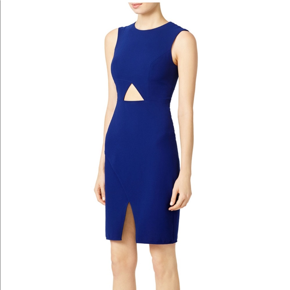 BCBG Colbert Oblique Dress